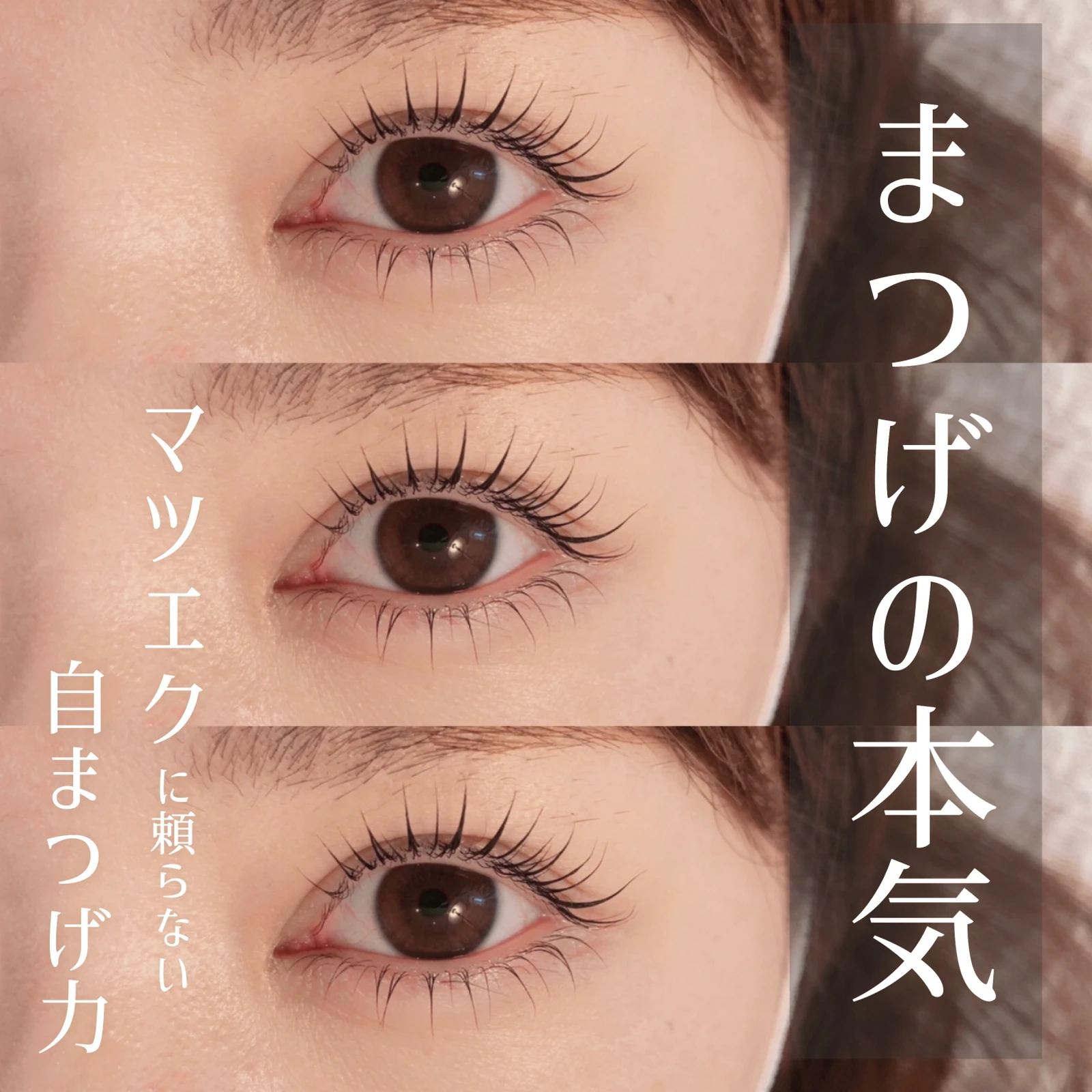 ビューラーやめました かわいあやこが投稿したフォトブック Lemon8