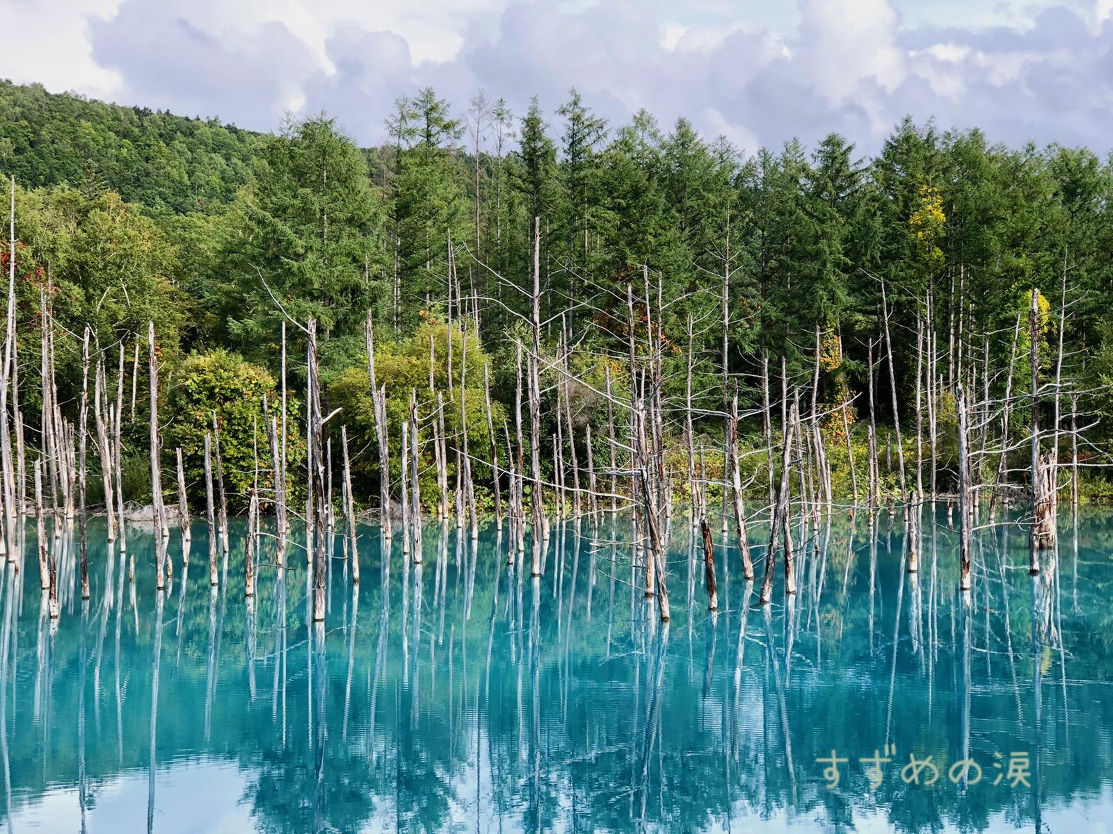 青い池 北海道 すずめの涙が投稿したフォトブック Sharee