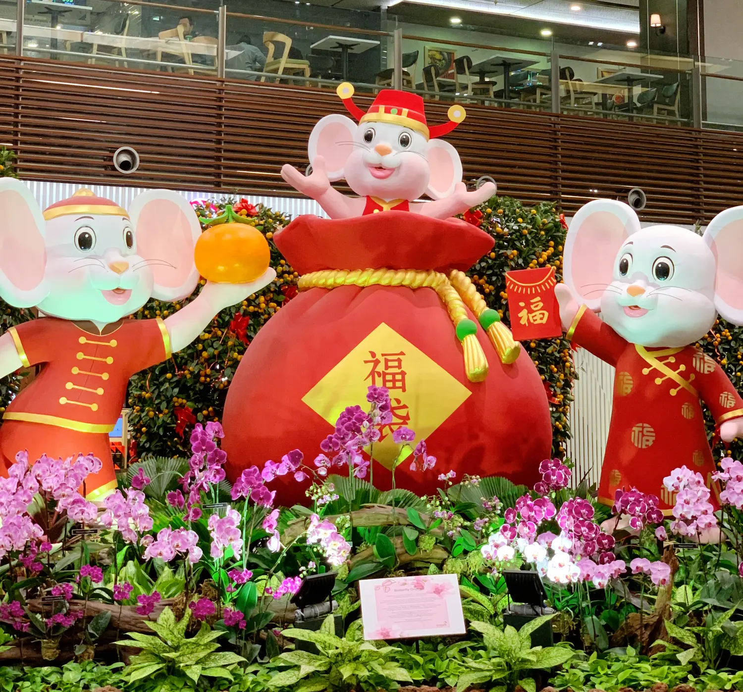 チャンギ国際空港が楽しい シンガポールのおすすめお土産 Erika Anneが投稿したフォトブック Lemon8