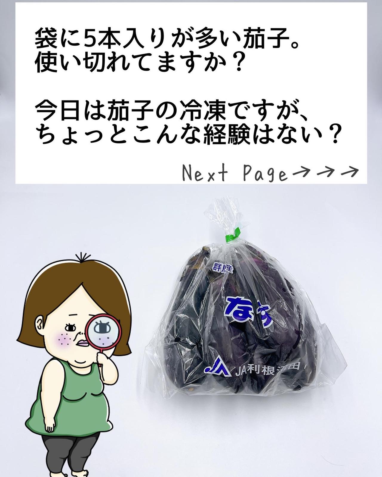 茄子の冷凍はまずい なんて声を良く聞きます Reitoumamaが投稿したフォトブック Lemon8