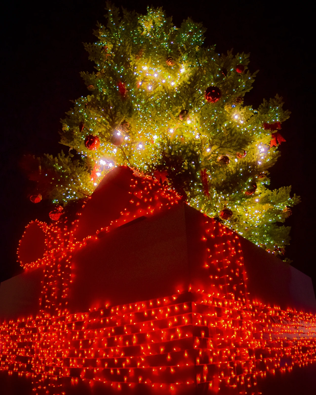 クリスマスデート 東北地方 Lemon8