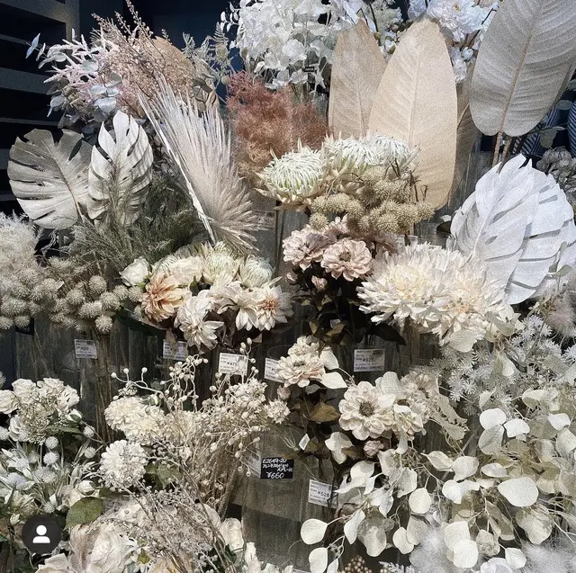 キャンドゥ 造花 チューリップ Lemon8