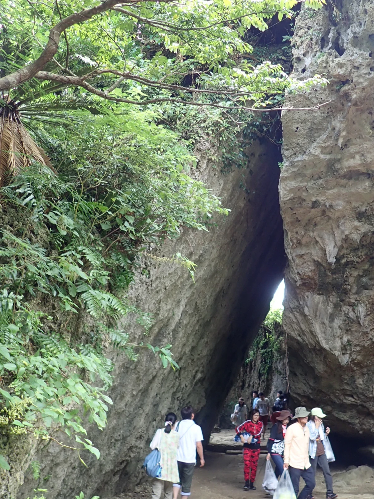 沖縄 世界遺産 最強のパワースポット 聖地 斎場御嶽 を参拝 あろはれいんぼーが投稿したフォトブック Lemon8