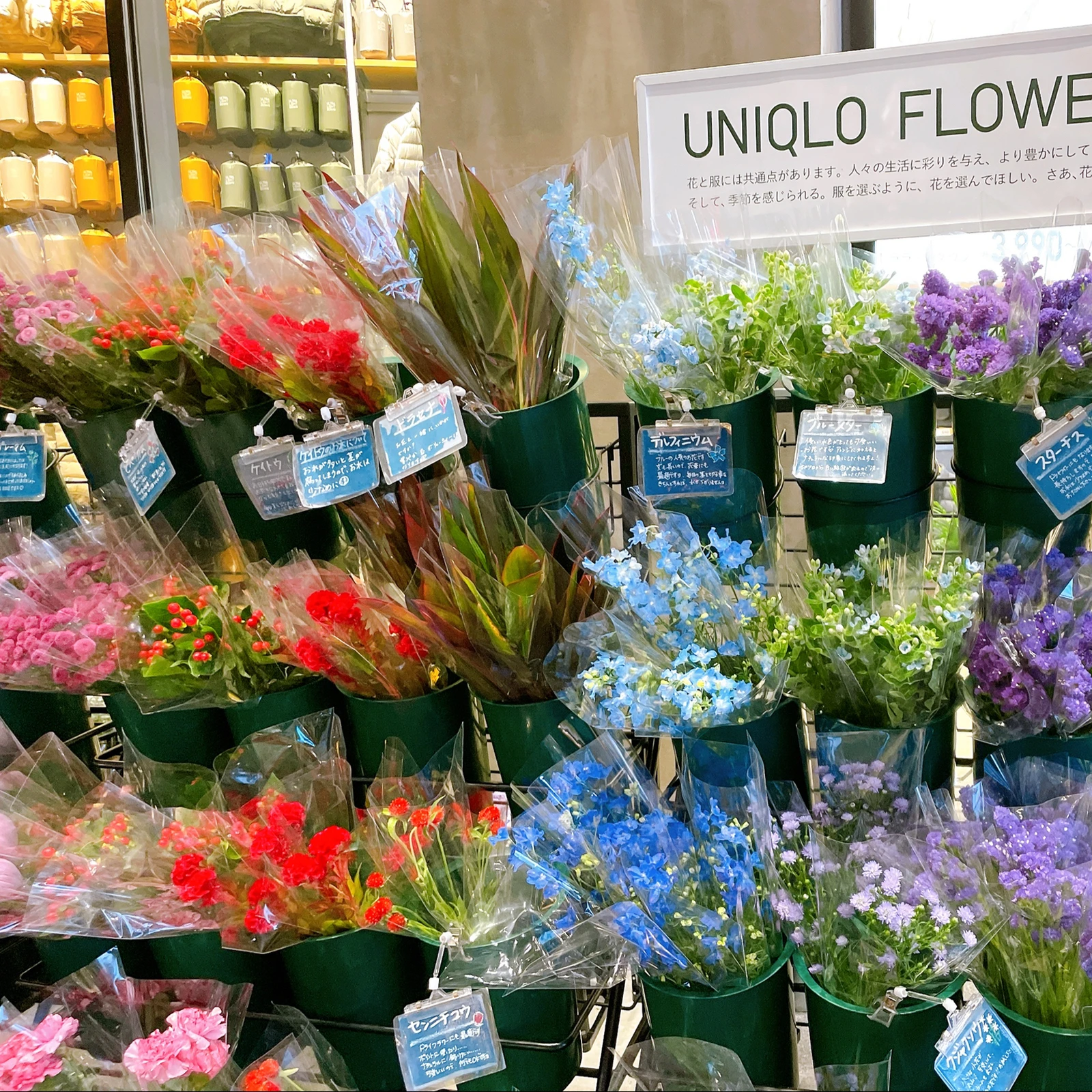 銀座 気軽に寄れるお花屋さん Uniqlo Flower Aynaa 旅とグルメが投稿したフォトブック Lemon8