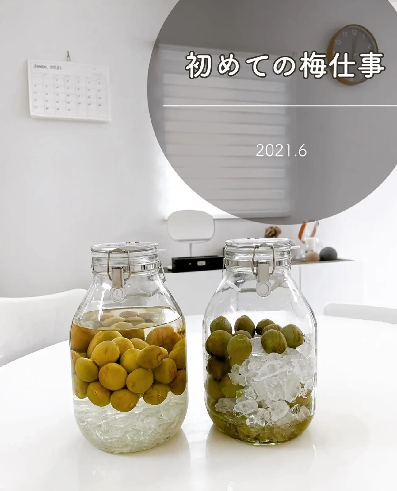 Sale 62 Off ジーエフシー 翡翠梅 梅のシロップ漬け 35粒入り Www Basexpert Com Br