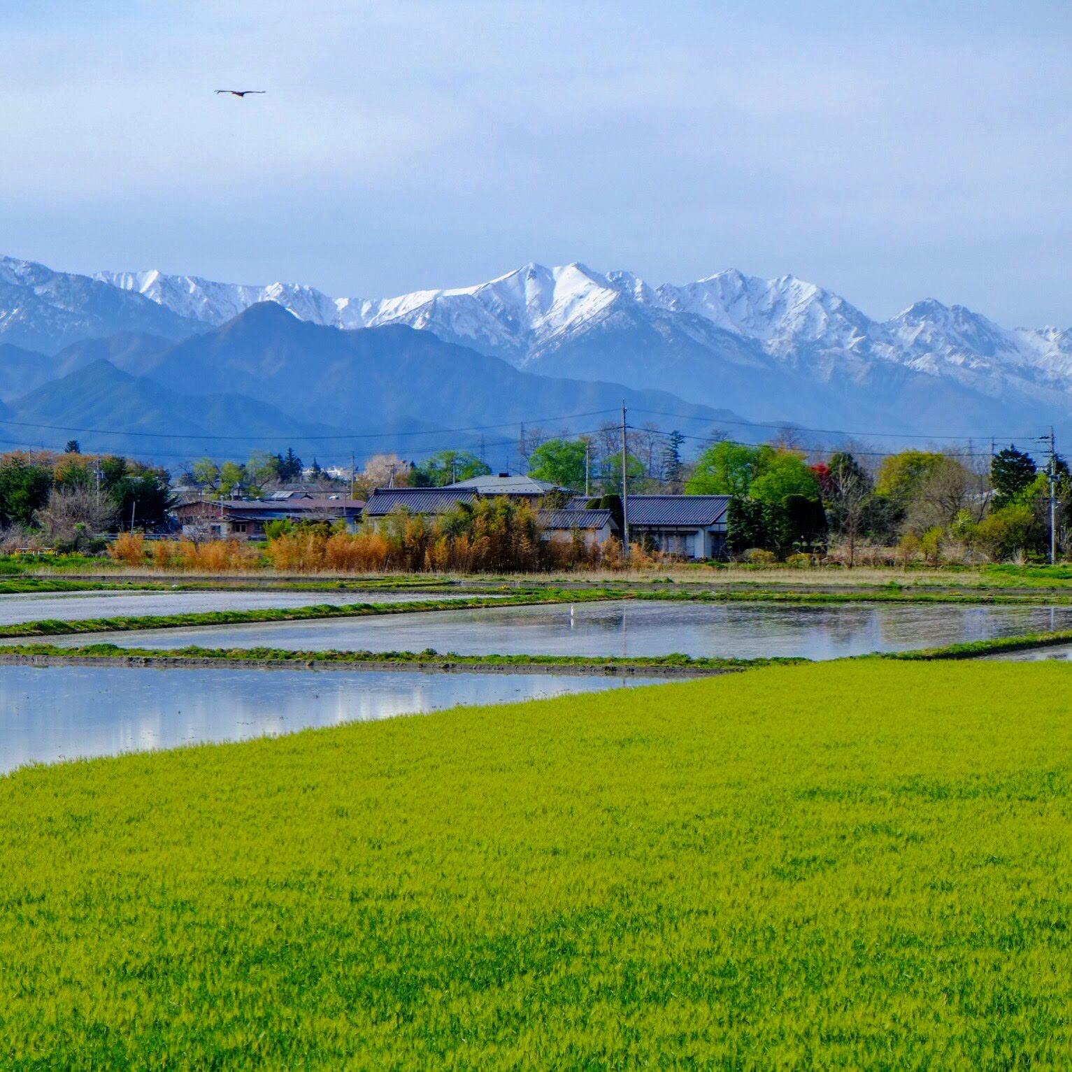 日本の原風景に癒される 安曇野 Konnyが投稿したフォトブック Sharee