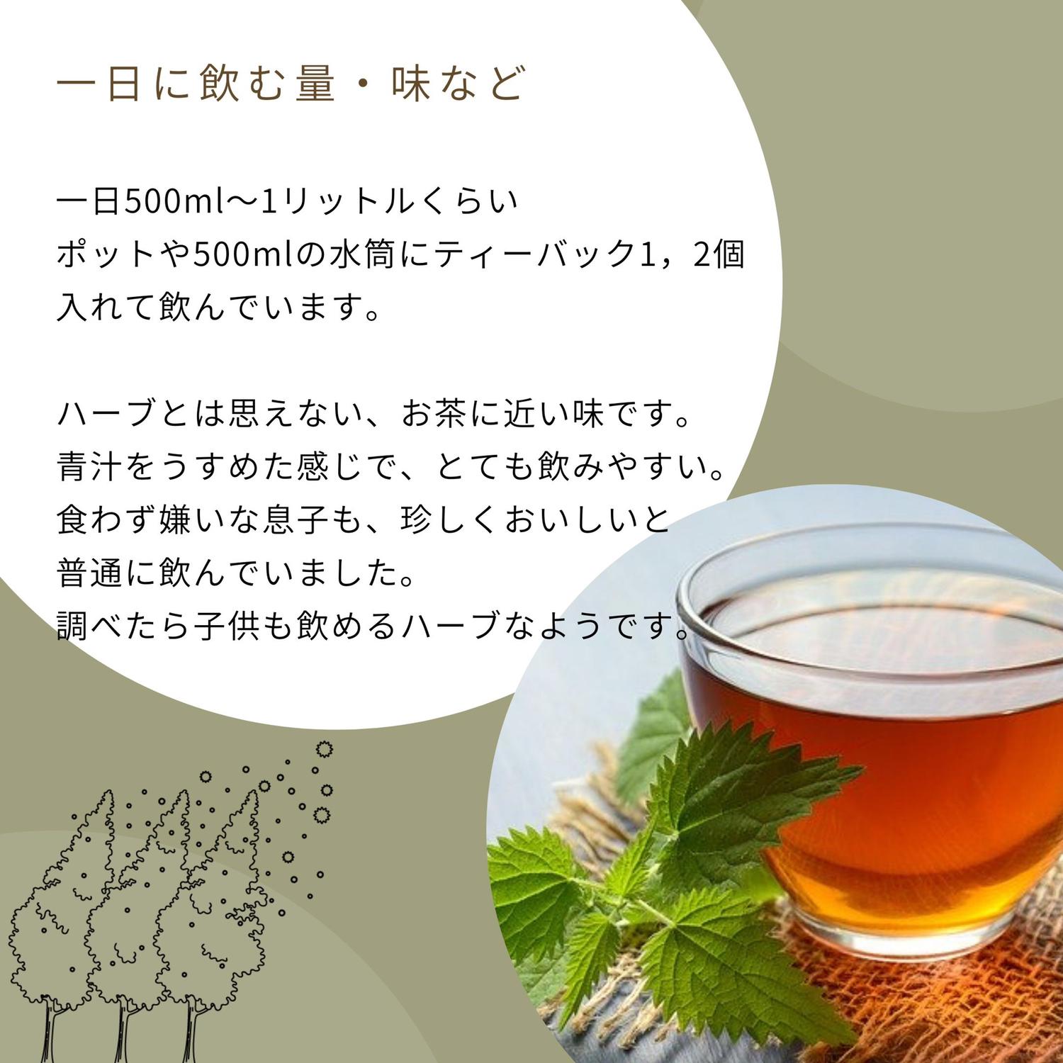 飲むタイミングは今 ネトルティーのデトックス効果で花粉症が和らいだ話 女性の味方のハーブ Makinokoblogが投稿したフォトブック Sharee