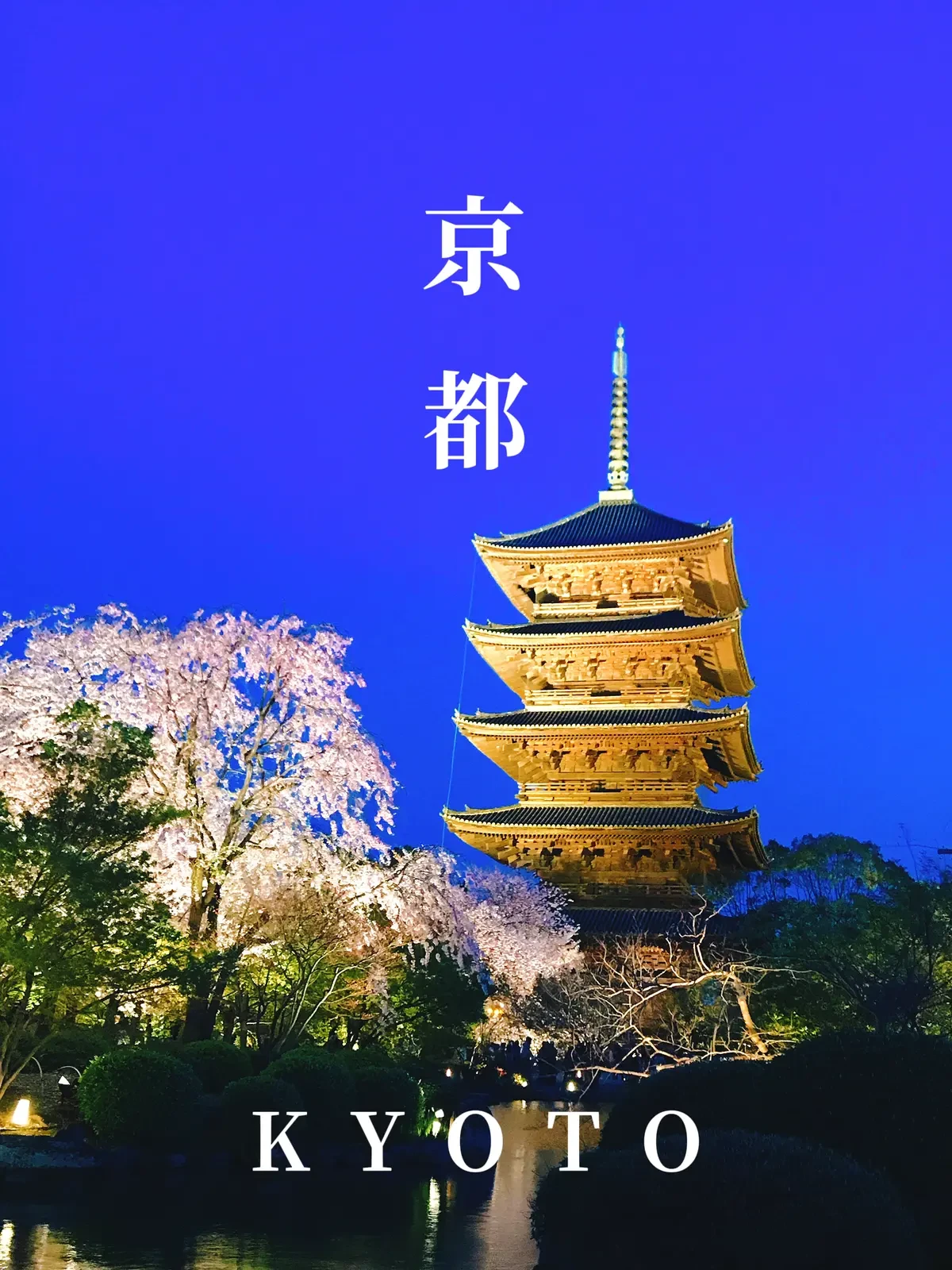 京都 夜桜を見るならここ 東寺のライトアップが美しい Aynaa 旅とグルメが投稿したフォトブック Lemon8