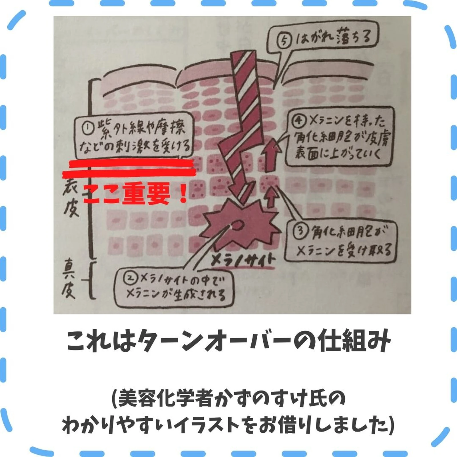 頼りすぎてない 日焼け止めだけでは限界がある ゆあまま 肌改革実践中が投稿したフォトブック Lemon8