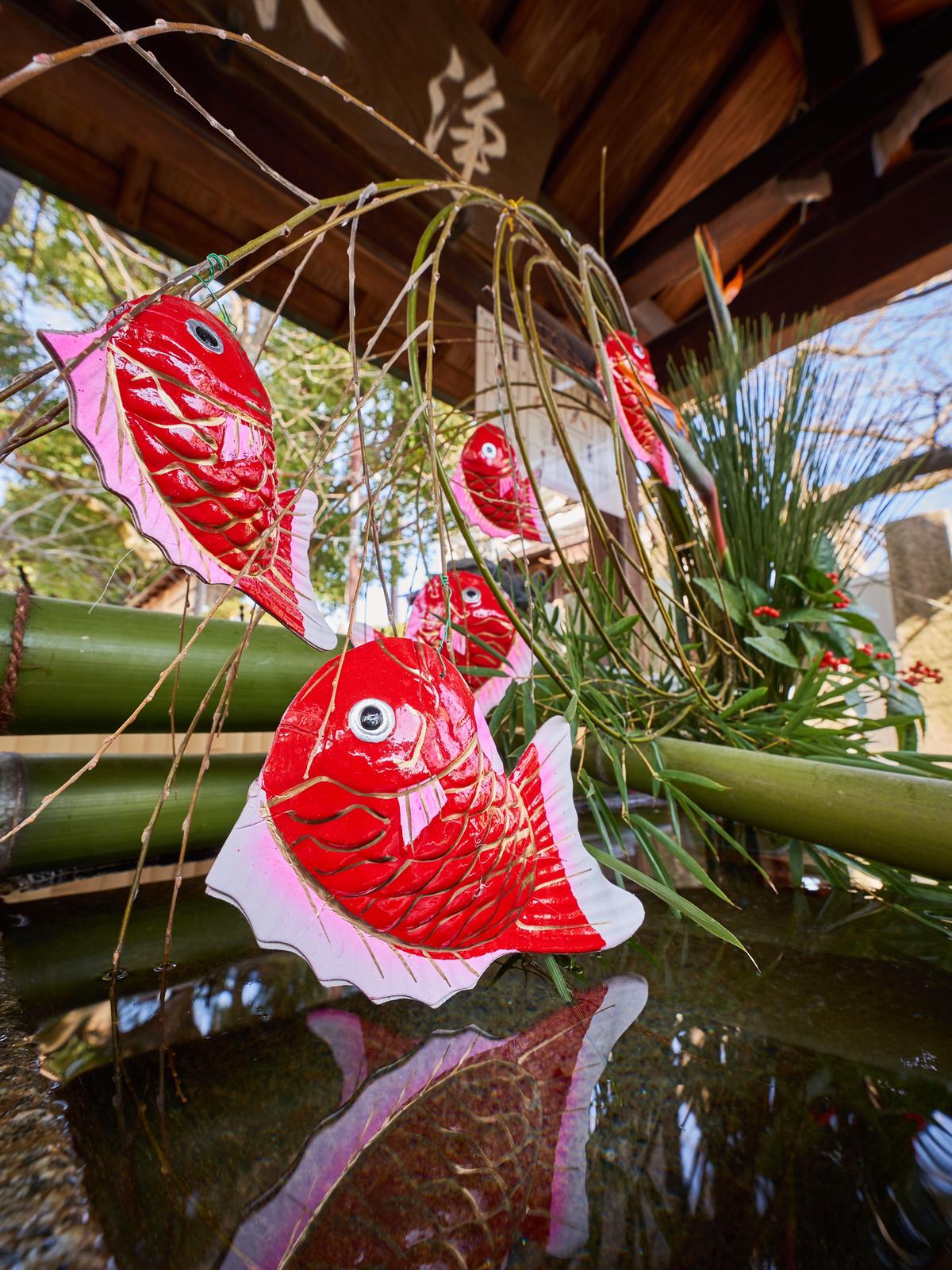 近所のお花屋さんが毎週奉納する素敵な花手水 高槻市 野見神社 Genかなが投稿したフォトブック Lemon8