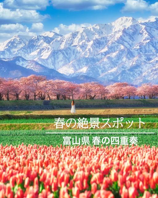 【富山県】まるで絵本の中の世界？！春の絶景スポット