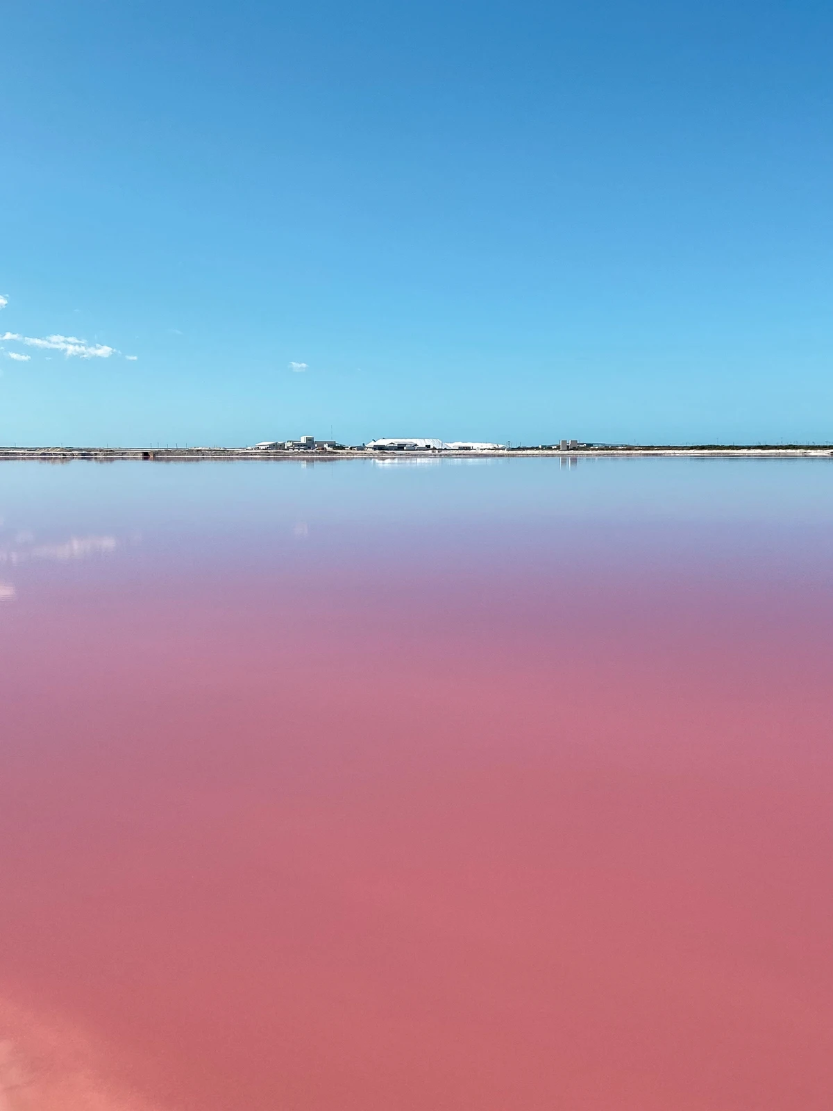 本当にピンク色 一生に一度は見たい 絶景湖 川越コウが投稿したフォトブック Lemon8