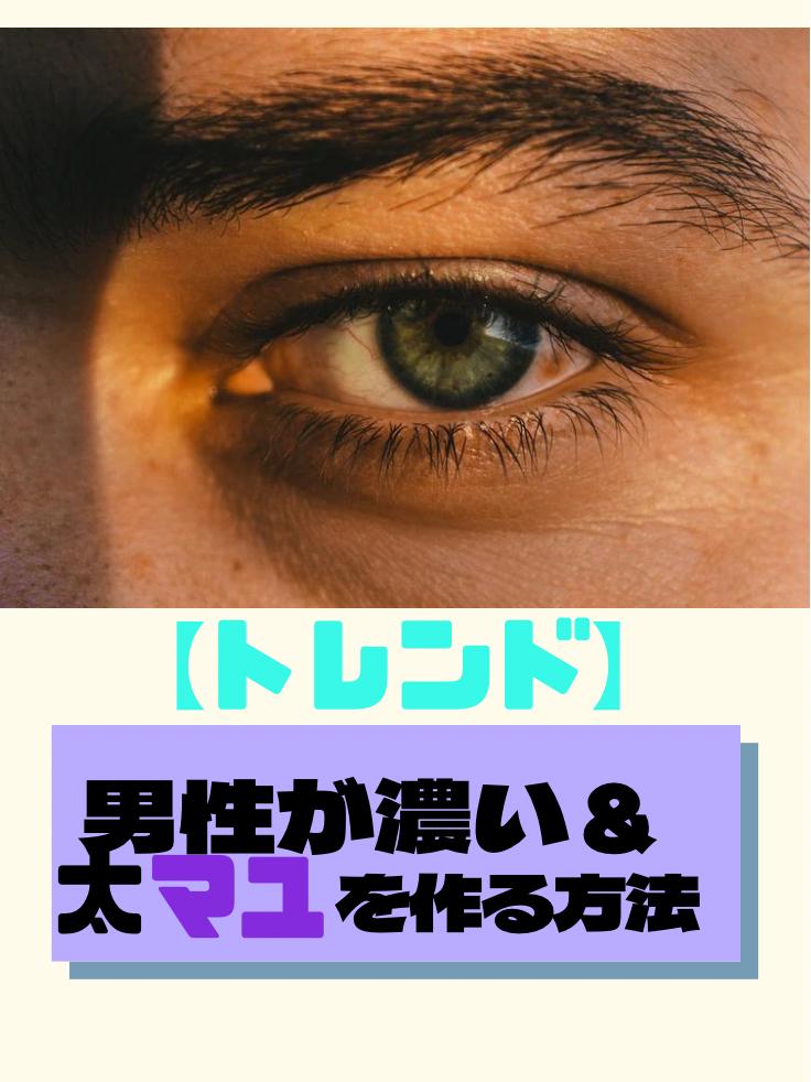 男性が濃くて太いマユを作る方法 ぴょんす 男磨きブロガーが投稿したフォトブック Lemon8