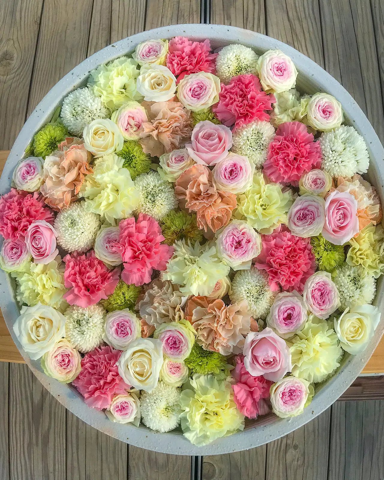 栃木県足利市 あしかがフラワーパークの花手水 5種類詰め合わせ Jptravelerspicが投稿したフォトブック Lemon8