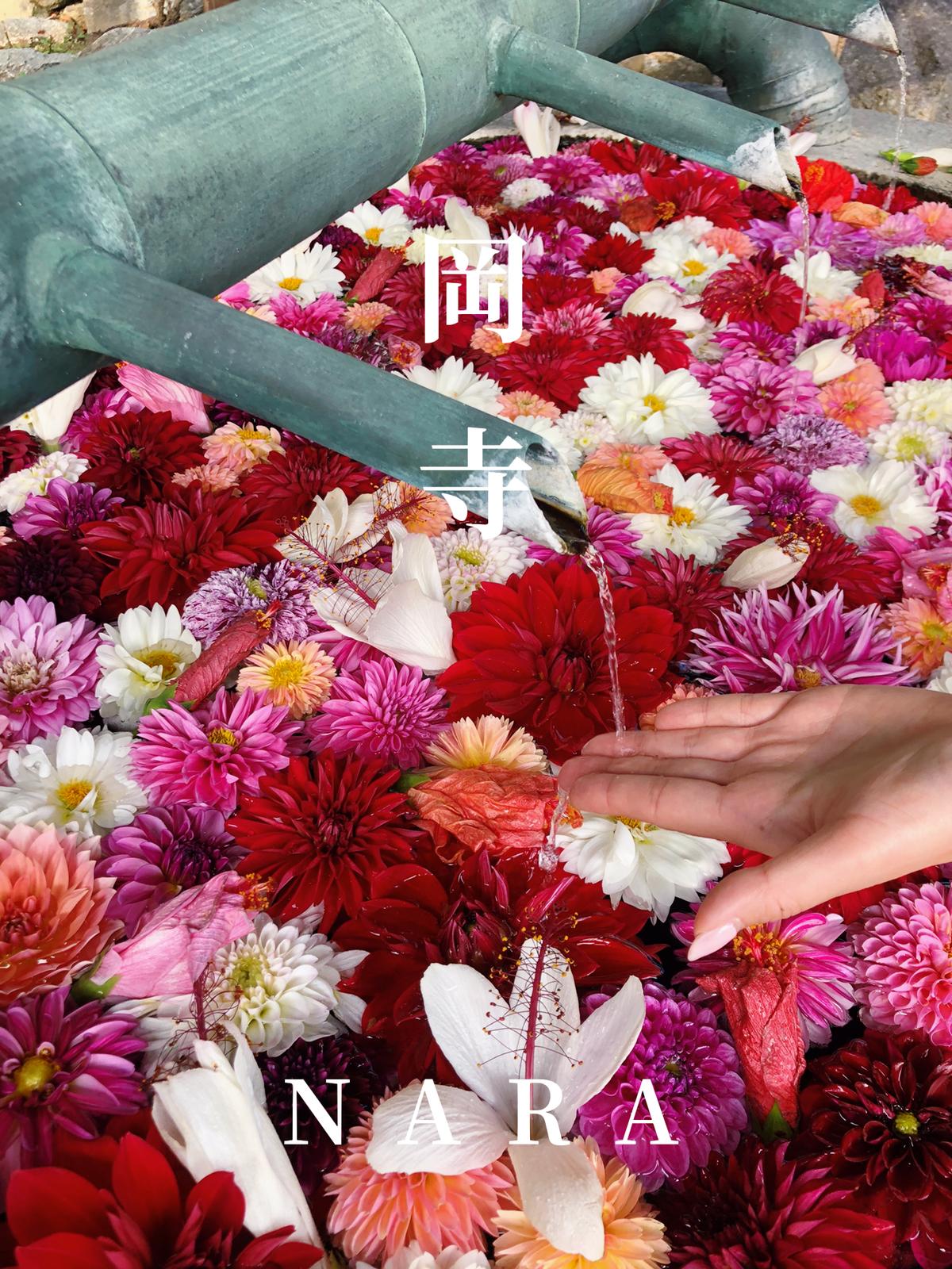 奈良 明日香村 岡寺の花手水が可愛い Mayu Travelが投稿したフォトブック Sharee