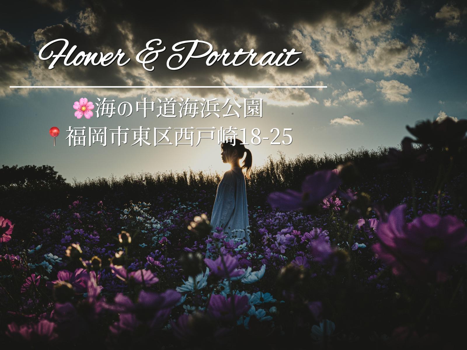 福岡 幻想的な風景 コスモスとシルエット 撮影のコツ Josuke Jpfrが投稿したフォトブック Lemon8