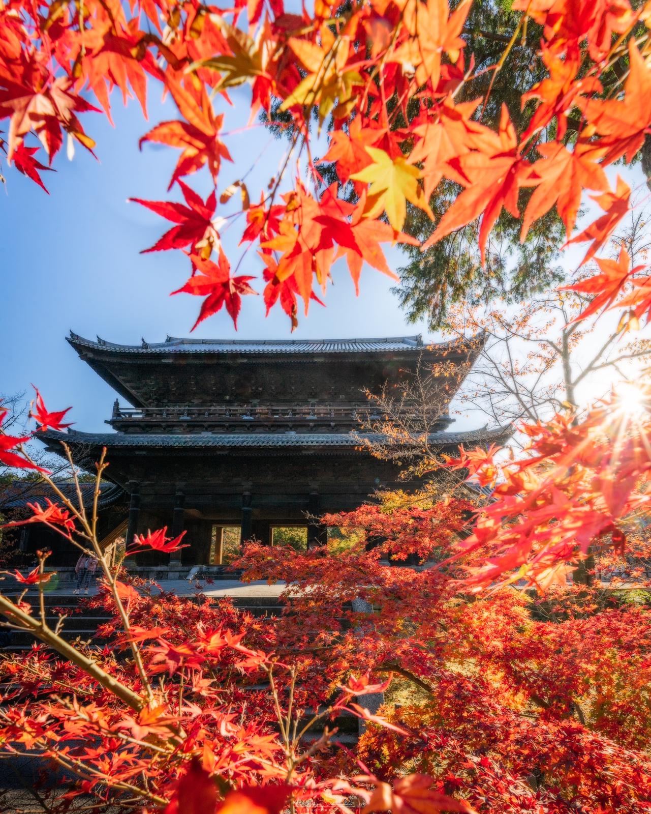 京都紅葉 朝がオススメ 南禅寺の紅葉がとっても綺麗でした Kazu Photosが投稿したフォトブック Lemon8