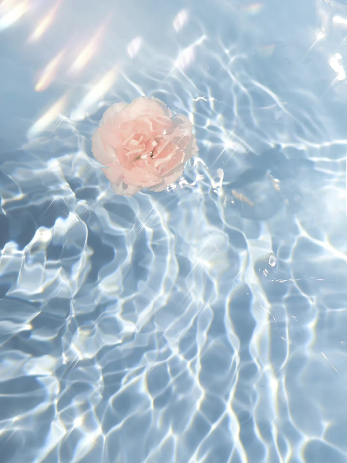 面白い撮り方 水上の春 Norakumaが投稿したフォトブック Lemon8