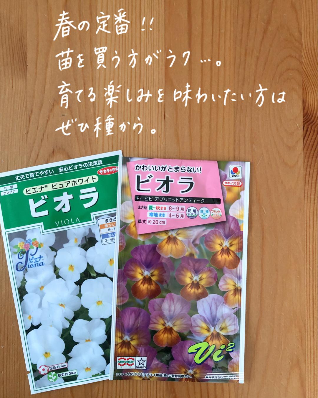 春の準備は秋からスタート 9月からまける花の種 みゆき ガーデニングと家庭菜園が投稿したフォトブック Lemon8
