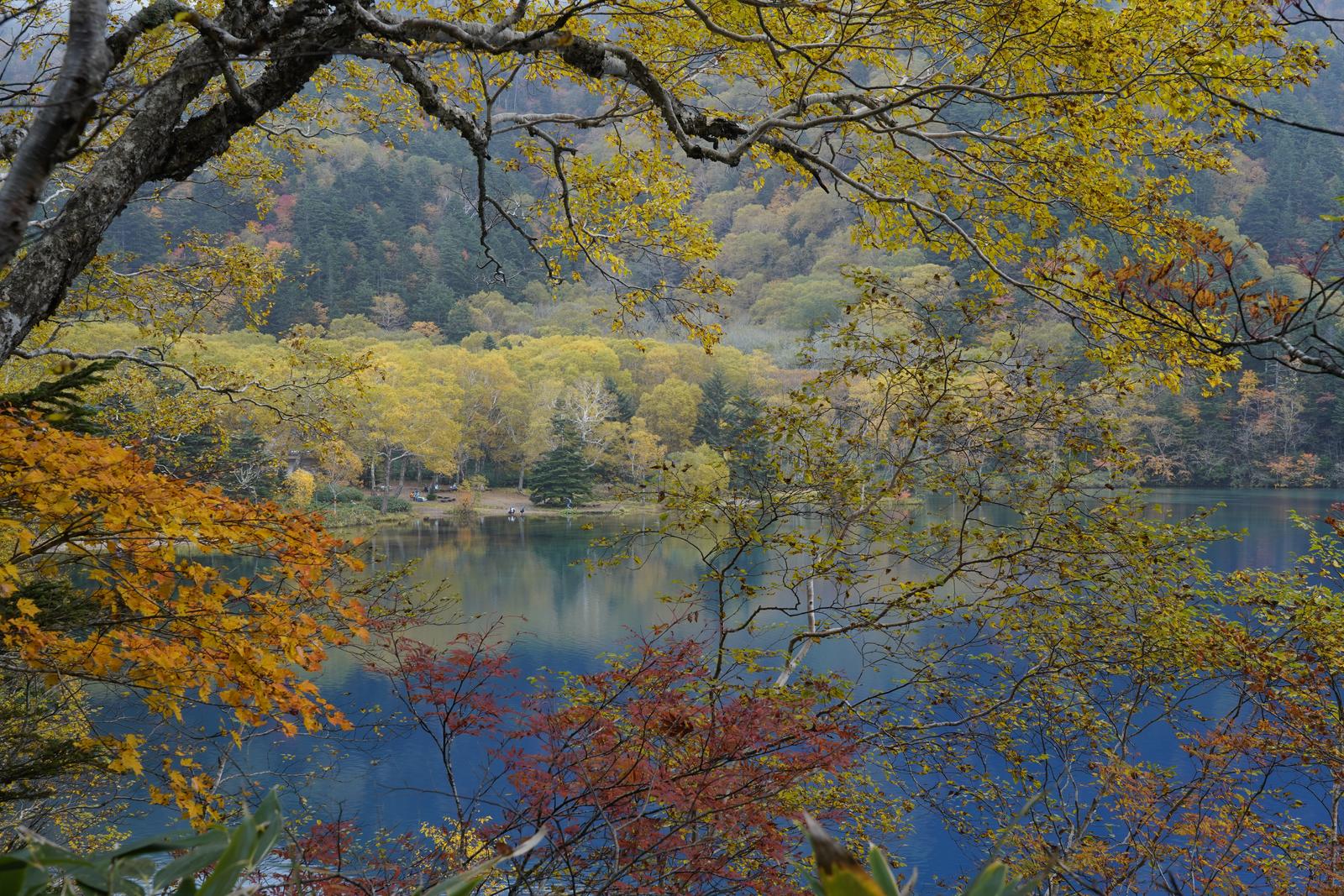 日本にある秋の絶景スポット W Ftmmtが投稿したフォトブック Sharee