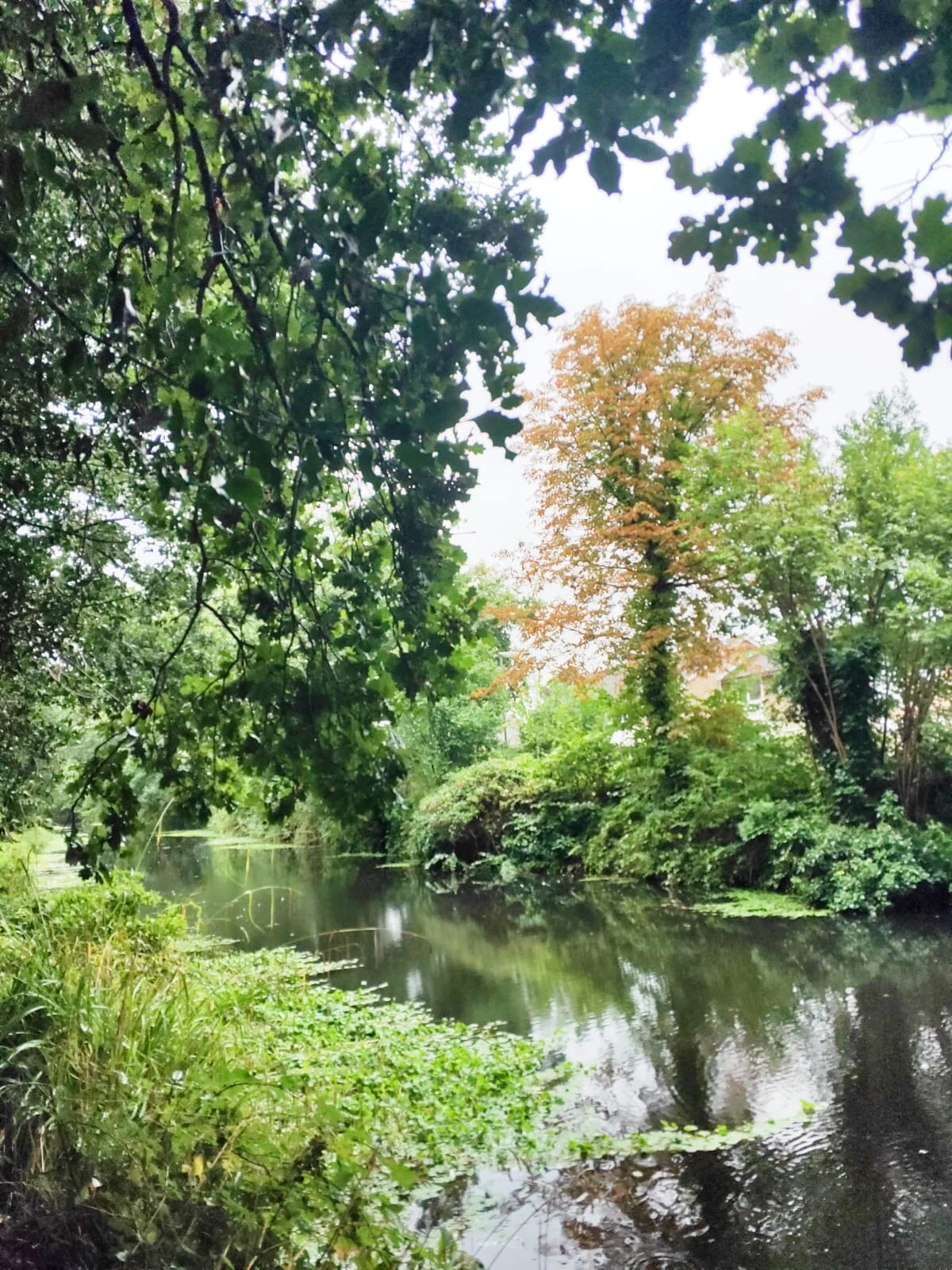 ロンドンから行けるイギリスの田舎町の観光スポット ベイジングストークカナル Rei 25が投稿したフォトブック Lemon8