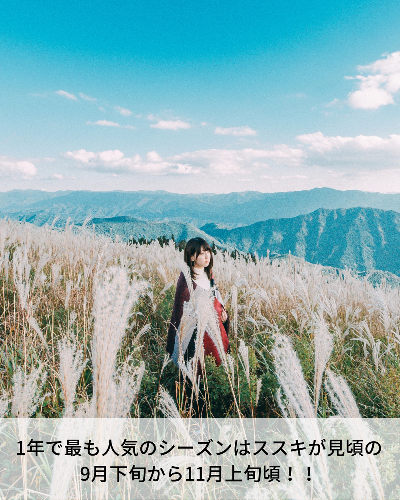 ススキの大海原 和歌山の 生石高原 Kouyou Jpが投稿したフォトブック Lemon8 ススキの大海原 和歌山の 生石高原 Kouyou Jpが投稿したフォトブック Lemon8