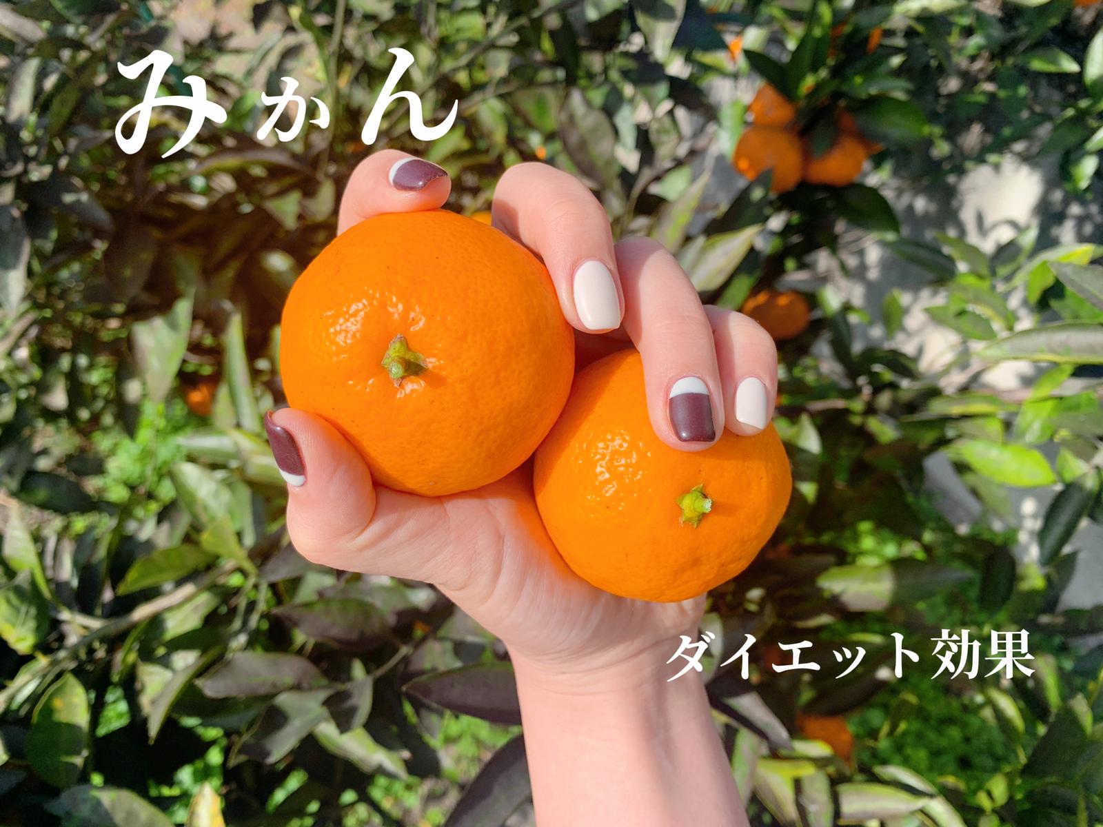 冬に美味しいみかん のダイエット効果について Shiiが投稿したフォトブック Lemon8