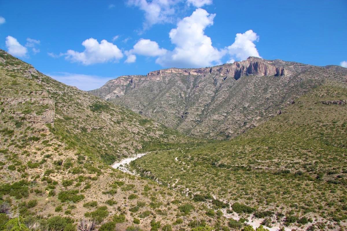 ニューメキシコ州３泊４日旅行 グアダループ山地国立公園編 ４日目 鈴木桜が投稿した記事 Lemon8