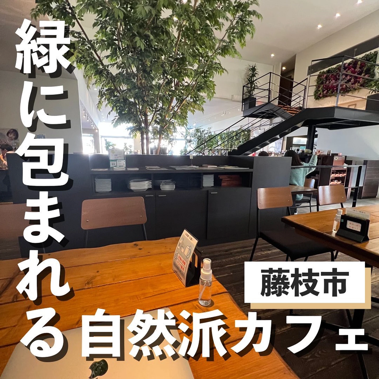 緑に包まれる 自然はカフェ カフェひこ 静岡カフェ巡りが投稿したフォトブック Lemon8