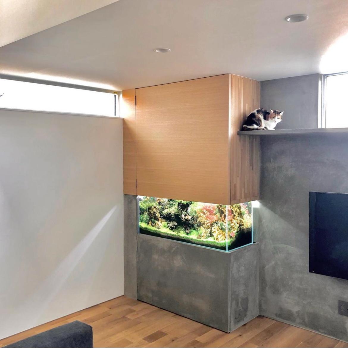 造作水槽台 Chie H が投稿したフォトブック Sharee