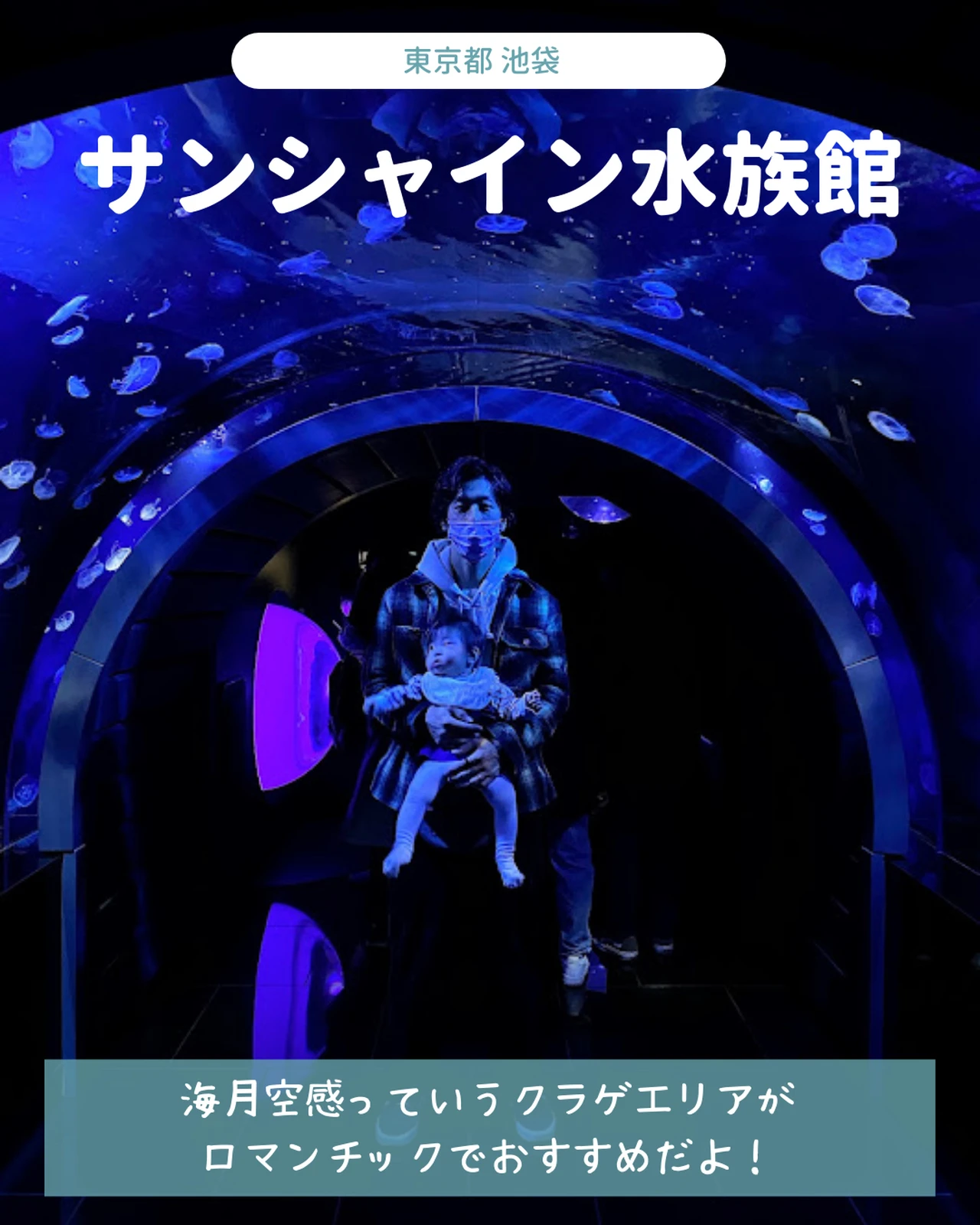 東京近郊 バレンタインデートおすすめ5選 マツシマ 旅好き夫婦が投稿したフォトブック Lemon8