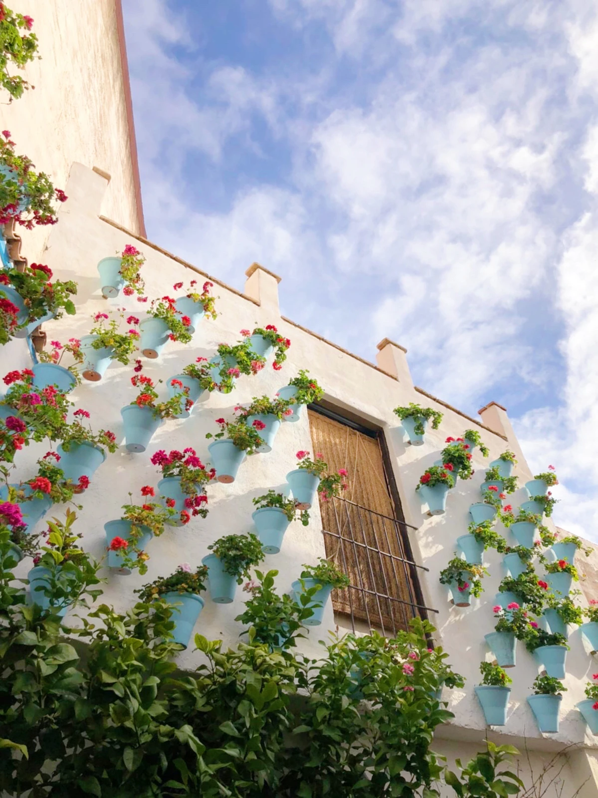 スペインの花の都 コルドバ 街並み編 Kasumi713が投稿したフォトブック Lemon8