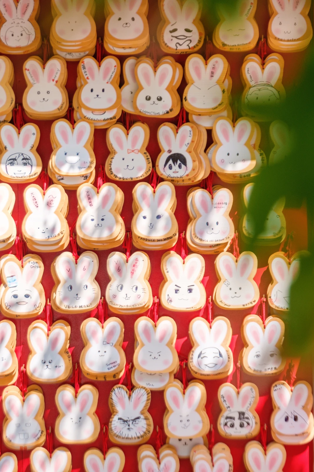 うさぎちゃん Cna Gob Bo