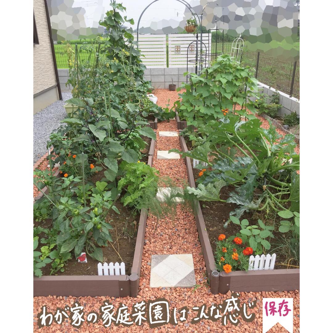 家庭菜園 どうする 連作障害 みゆき ガーデニングと家庭菜園が投稿した記事 Lemon8