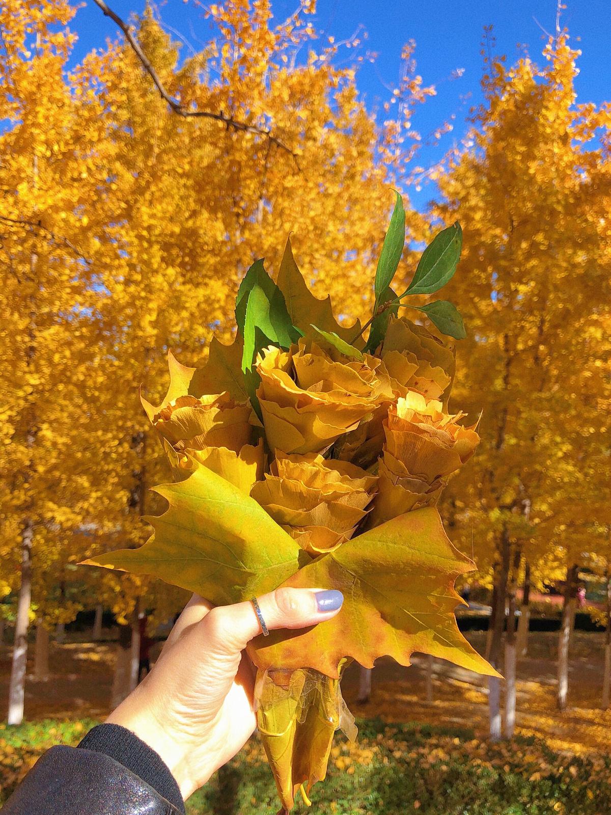 秋はイチョウの葉の花雨です 寺谷が投稿したフォトブック Lemon8