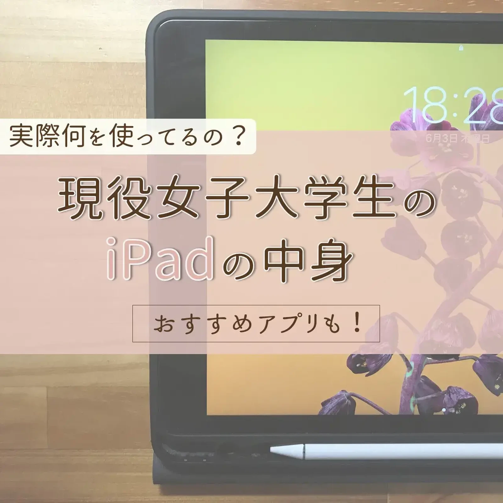 現役女子大学生のipadの中身 Werubyが投稿したフォトブック Lemon8