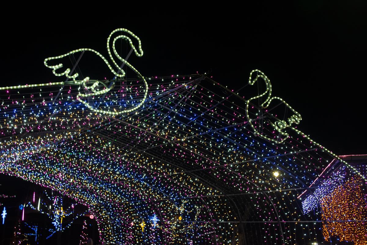 北柏ふるさと公園のイルミネーション Tatsuyatanno41が投稿した記事 Sharee