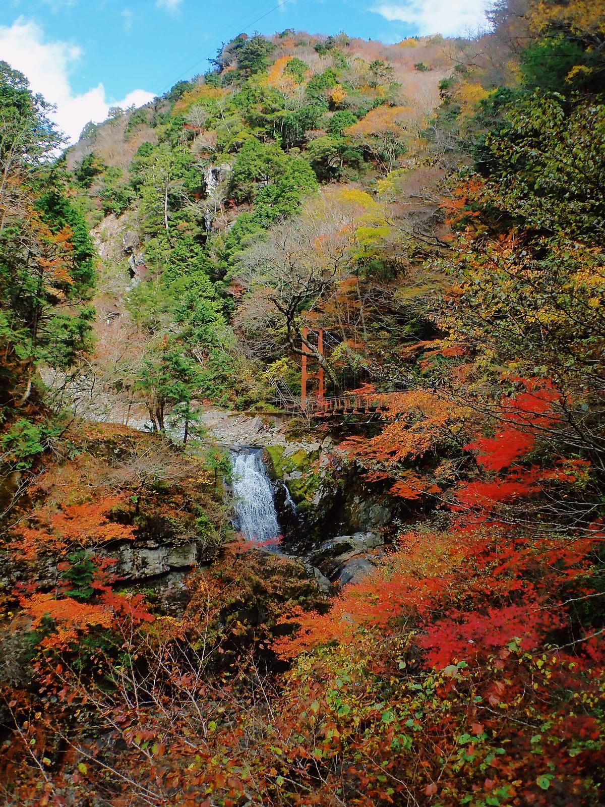 奈良 天川村 21紅葉 みたらい渓谷をレポート Mayu Travelが投稿したフォトブック Lemon8