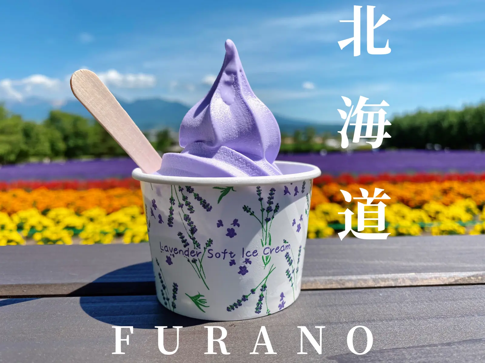 壮大なラベンダー畑でソフトクリームを堪能 ファーム富田 おにやんグルメが投稿したフォトブック Lemon8