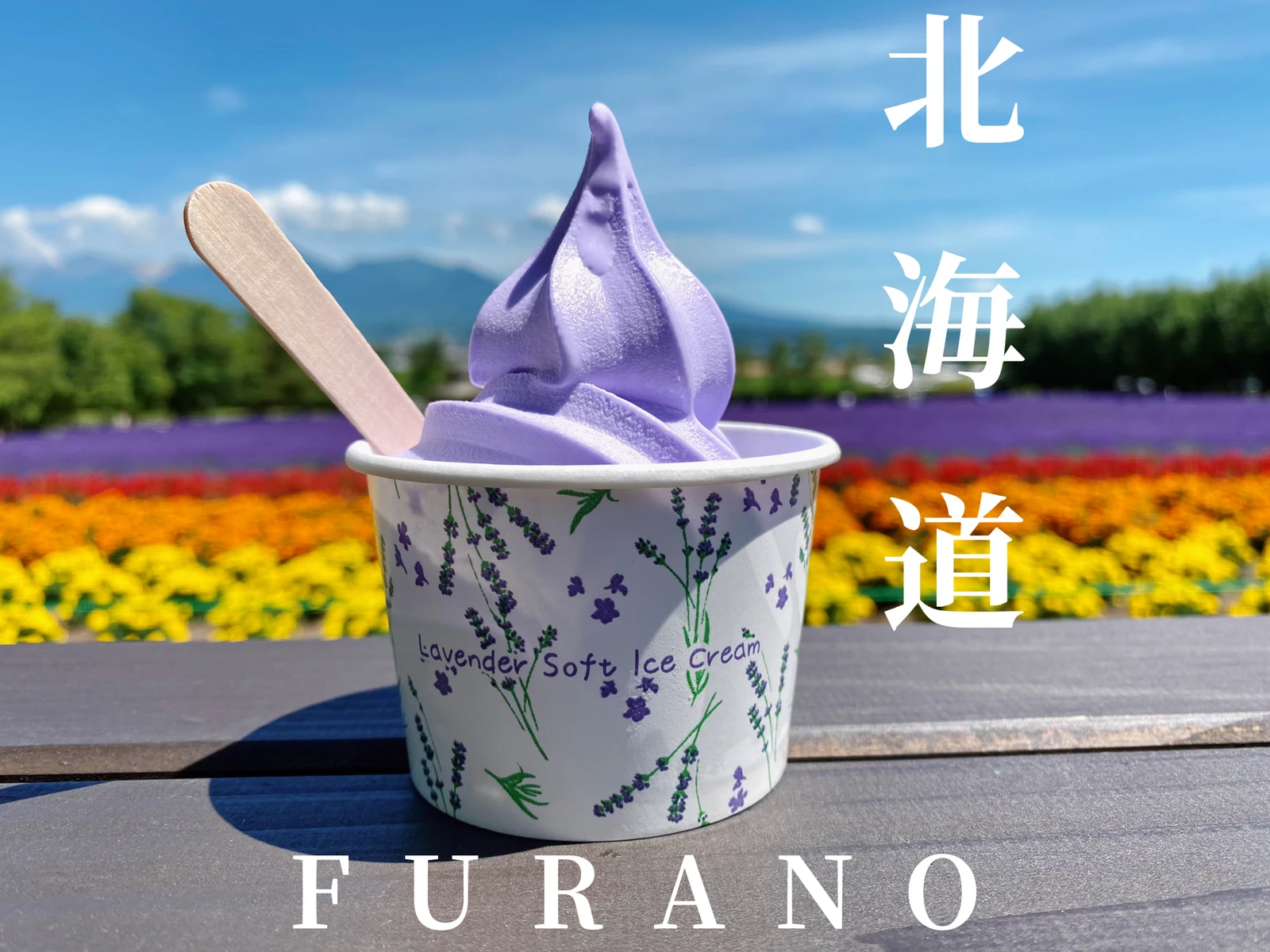 壮大なラベンダー畑でソフトクリームを堪能 ファーム富田 おにやんグルメが投稿したフォトブック Lemon8