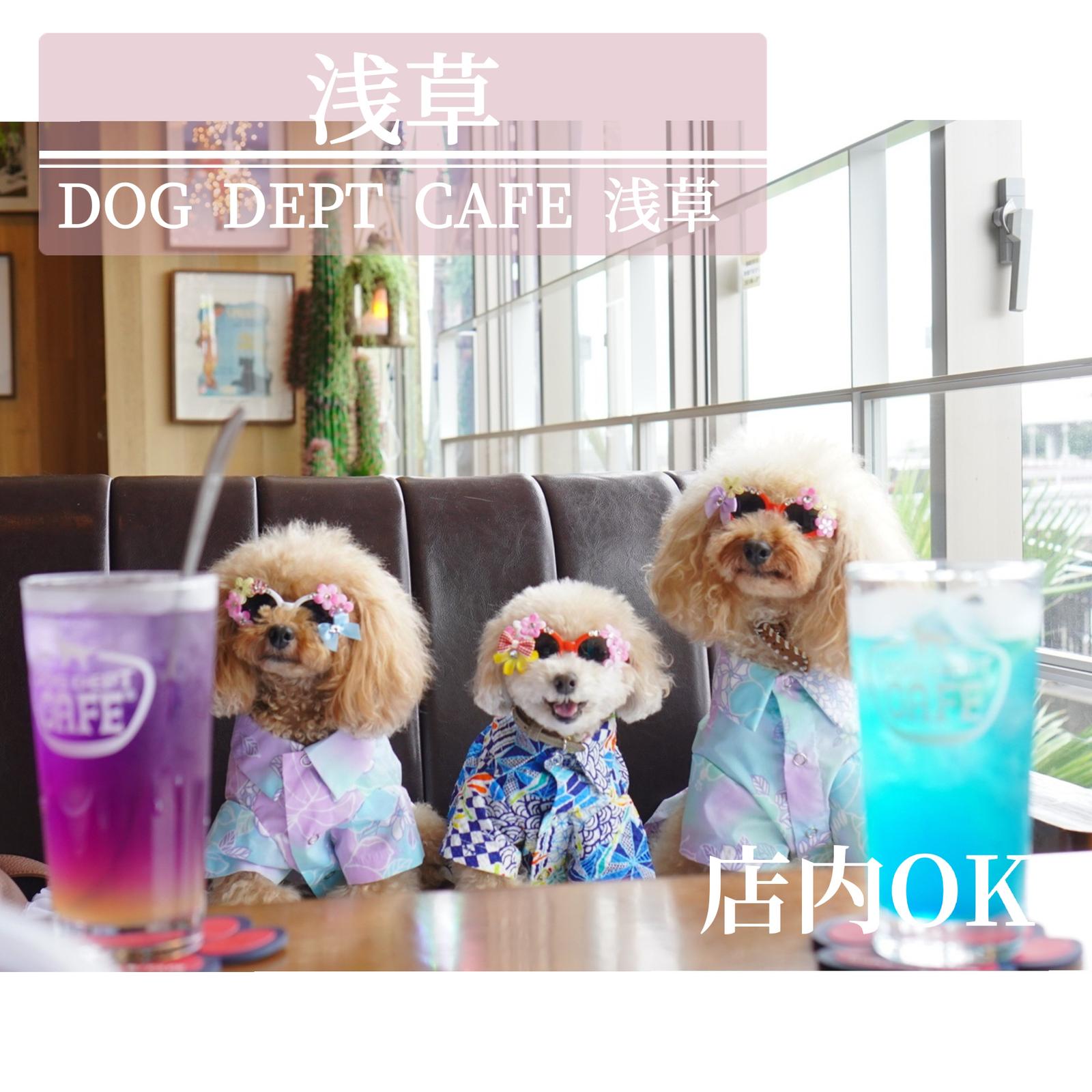 浅草ドッグカフェ Dog Dept Cafe 浅草 隅田川テラス店 ドッグカフェはありがたい プリッフィーが投稿したフォトブック Sharee