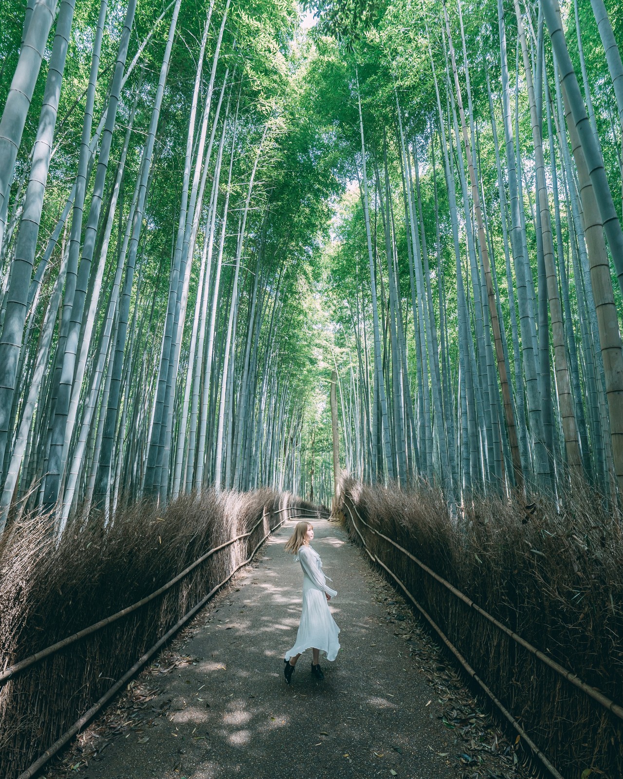 Lemon8 Story 偕楽園 竹林