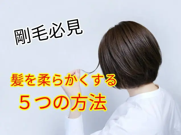 剛毛必見 髪が柔らかくなる方法を５つのポイントに分けて解説 アミシャンが投稿した記事 Lemon8