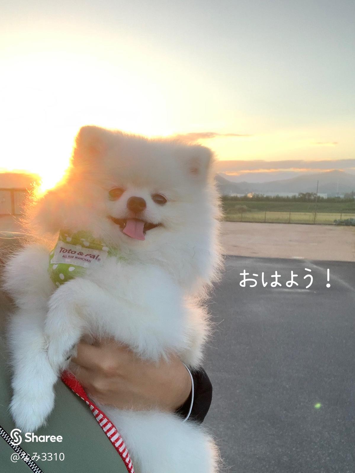にっこり ほっこり ぽっかりスマイル なみ3310が投稿したフォトブック Sharee