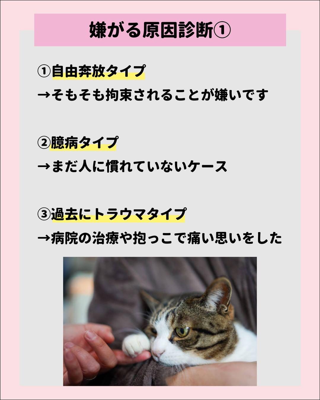 猫が抱っこ好きになる裏技大公開 ねこにも 愛猫情報発信中が投稿したフォトブック Lemon8