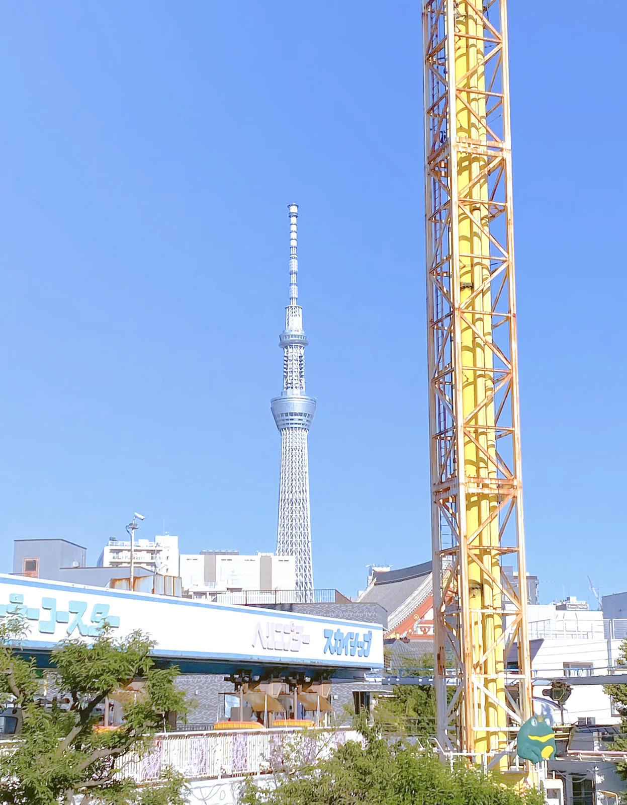 日本最古の遊園地 浅草花屋敷 Shayna Xiaが投稿したフォトブック Lemon8