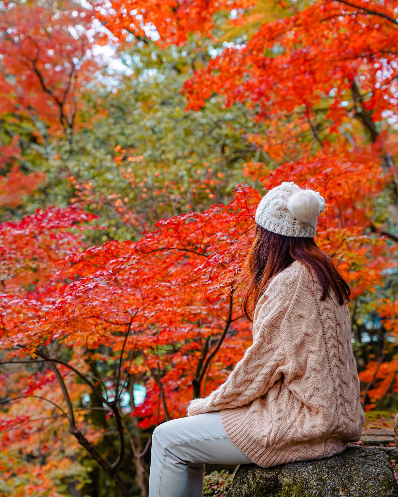 香川 一度は訪れたい 四国一の紅葉の名所 Moe Matsuiが投稿したフォトブック Lemon8