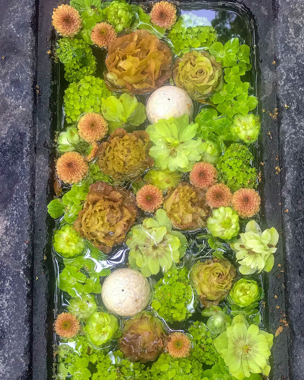 関東人気の花手水 Jptravelerspicが投稿したフォトブック Lemon8