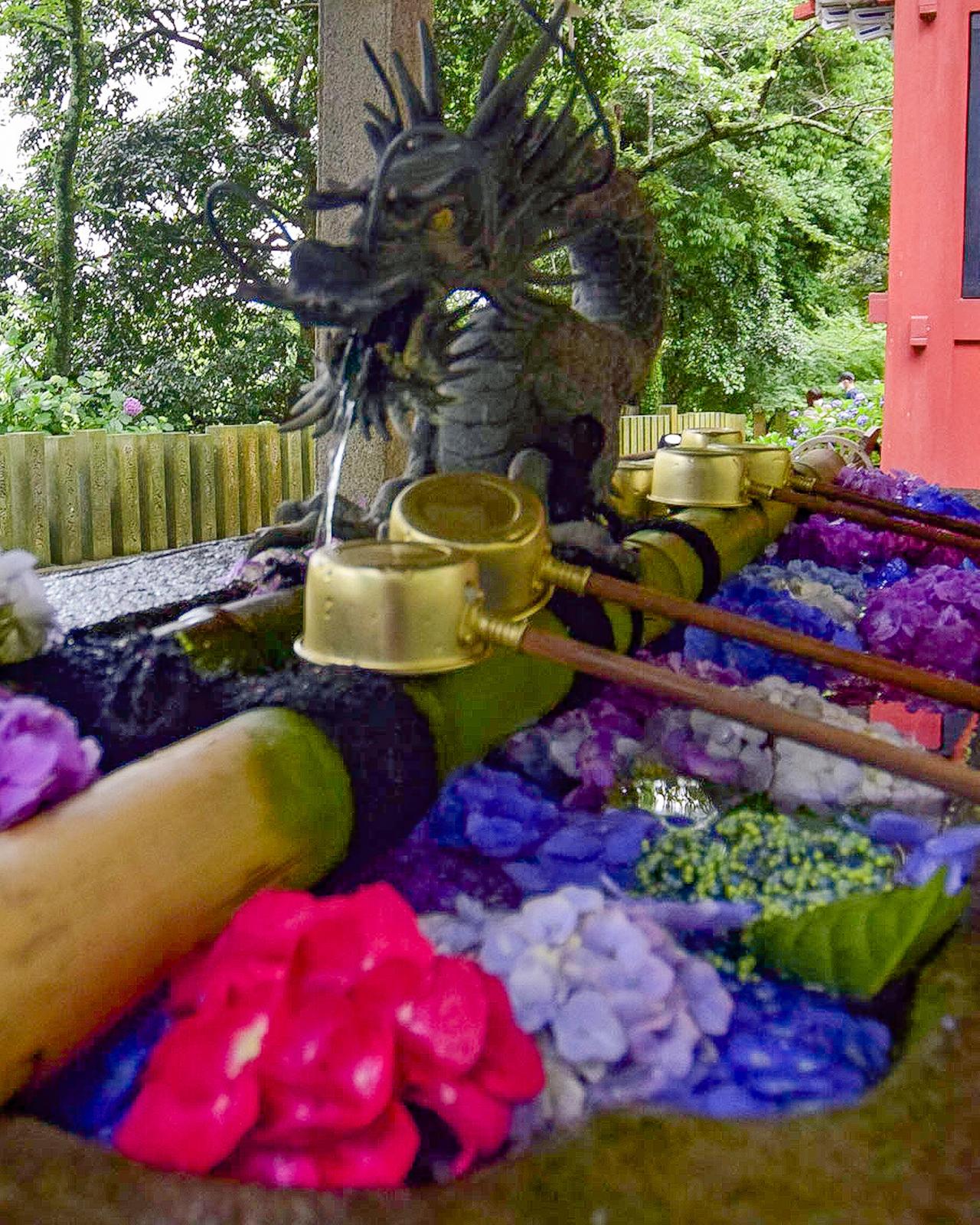 茨城県桜川市 人気の紫陽花の名所 雨引観音の花手水 Jptravelerspicが投稿したフォトブック Lemon8