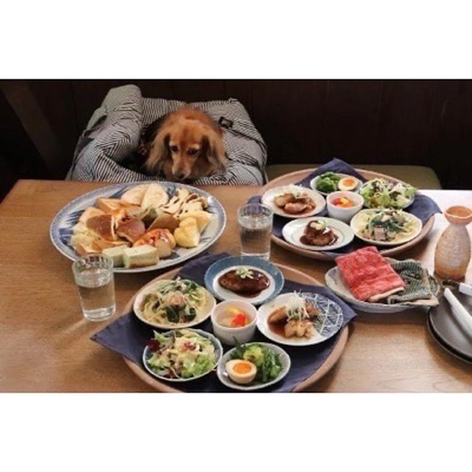 ドッグカフェ 三重県四日市市 東海ペット わんことお出かけが投稿したフォトブック Lemon8 ドッグカフェ 三重県四日市市 東海ペット わんことお出かけが投稿したフォトブック Lemon8